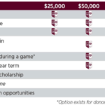 Donation levels & recognition benefits chart.